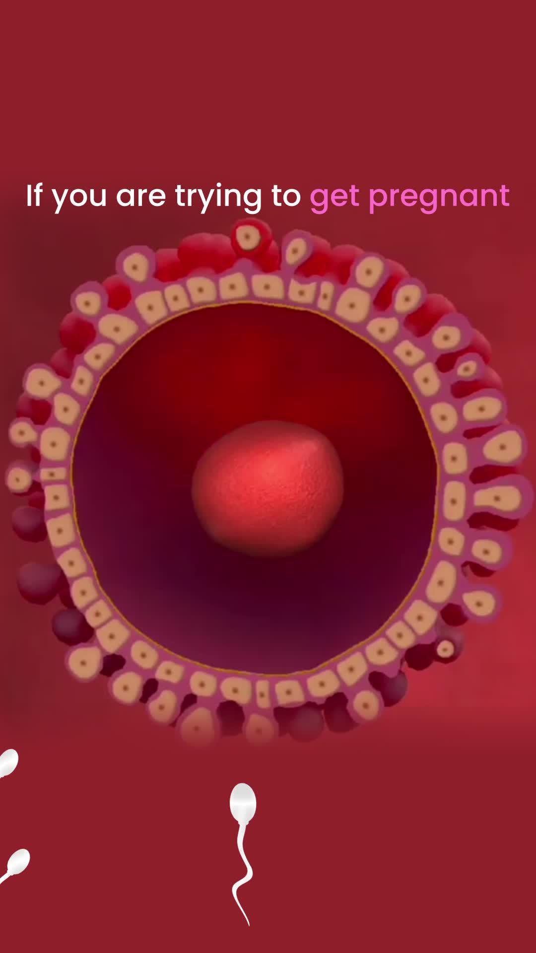 Get REAL-TIME fertility insights on the first try!