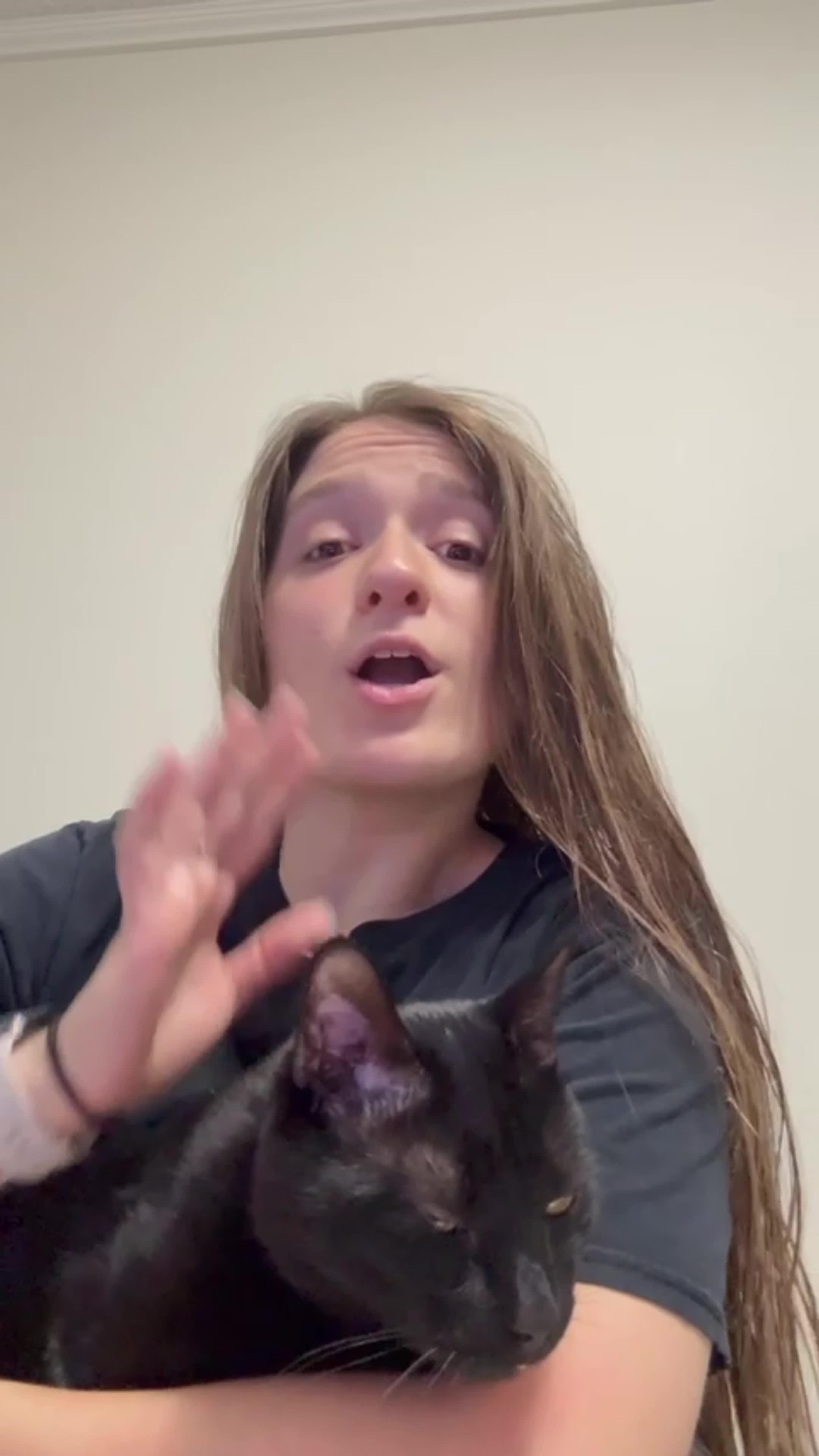 Purrrr -feed&rescue stray cats: Online Feeding Entertainment