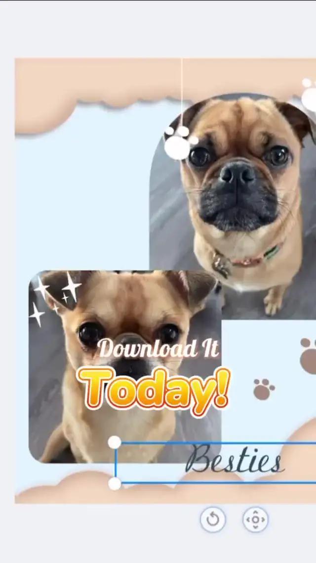 Make Every Photo Worth To Share!!!