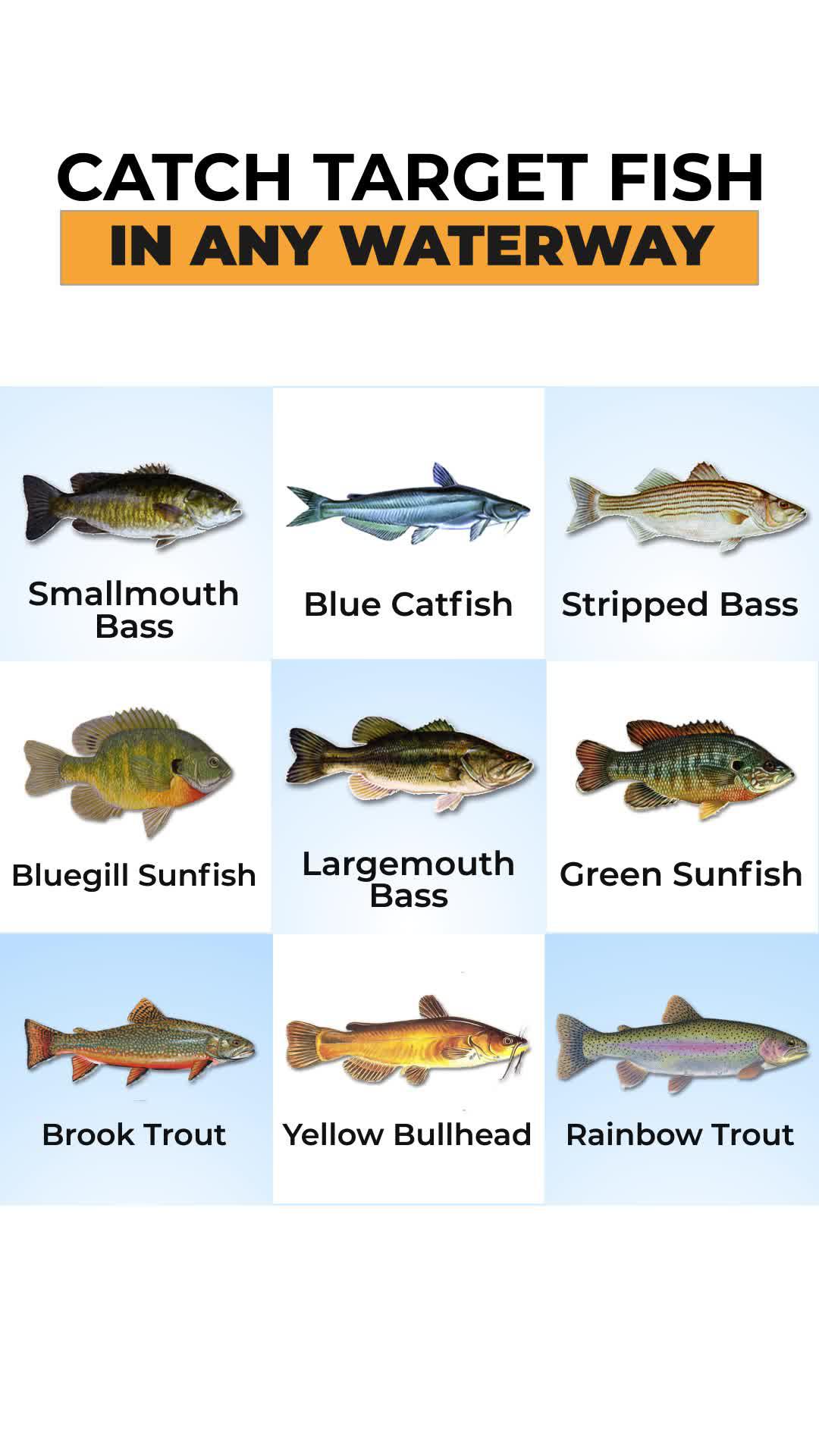 Find the best fishing spot with real-time mapping and expert tips