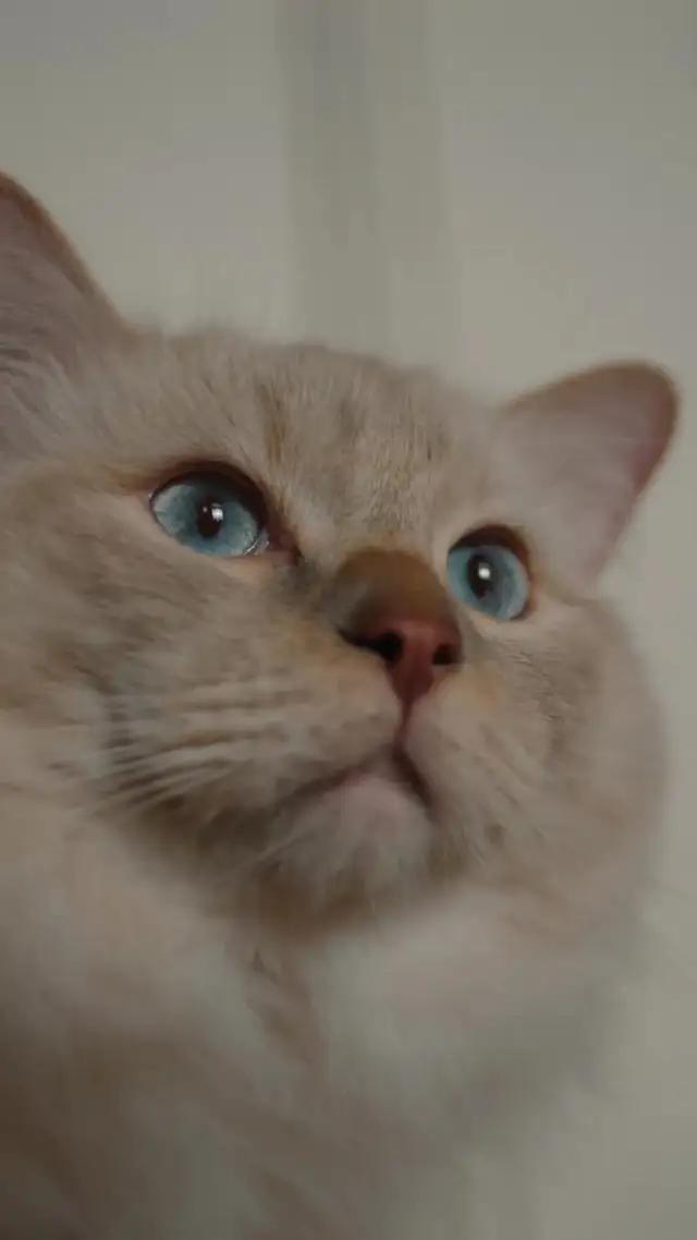 Llegó un punto en el que me dije ya no necesito Hinge