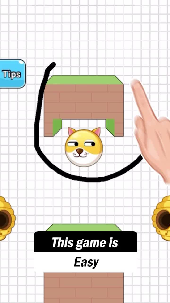 My dear!could you help those cute doge escape from the bees