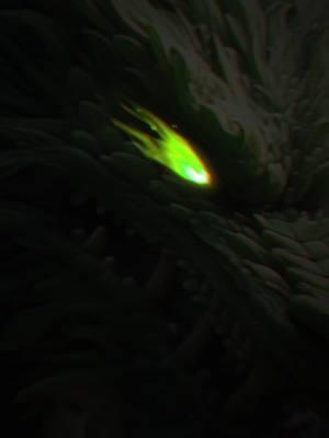 经典角色齐聚 再现极限Z激战 全新气功决斗活动开启