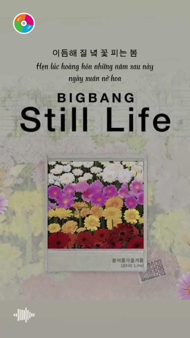 "Still Life" cất lên như lời chào cho một thanh xuân rực rỡ, tải app Zing MP3 nghe ngay!