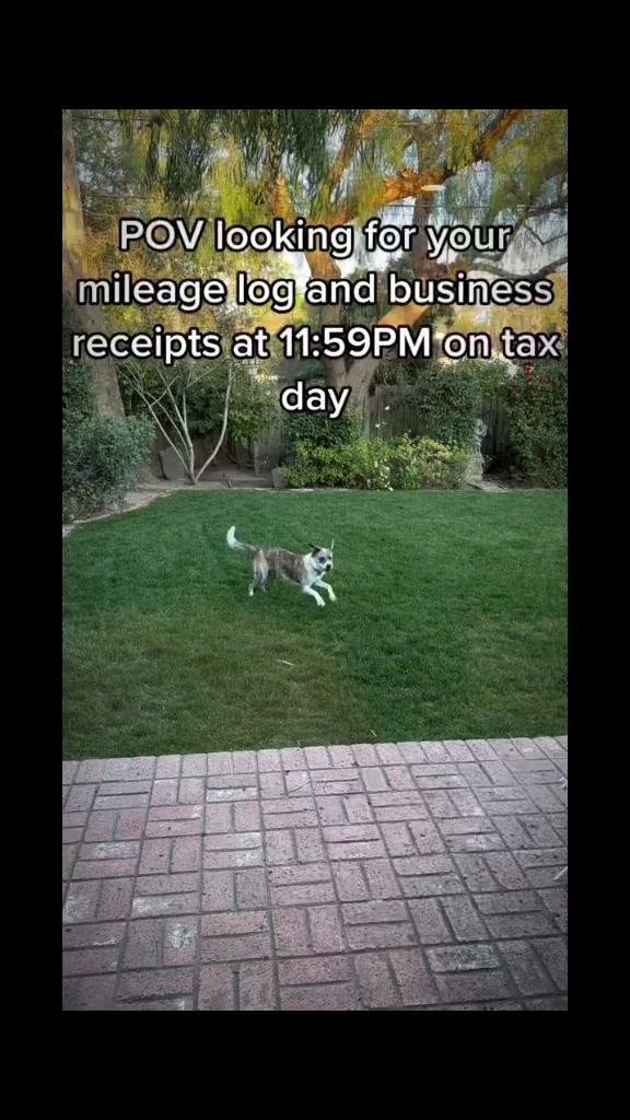 #mileagetracking #expensetracking #mileagetracker #expensetracker #moneytips #worklife #finance #money #taxes #savingmoney #taxtips #taxtime #taxseason #taxseason2023 #taxrefund #moneymindset #viral #relatable #trending #dogsoftiktok #dog #fyp #foryoupage #foryou #fypシ