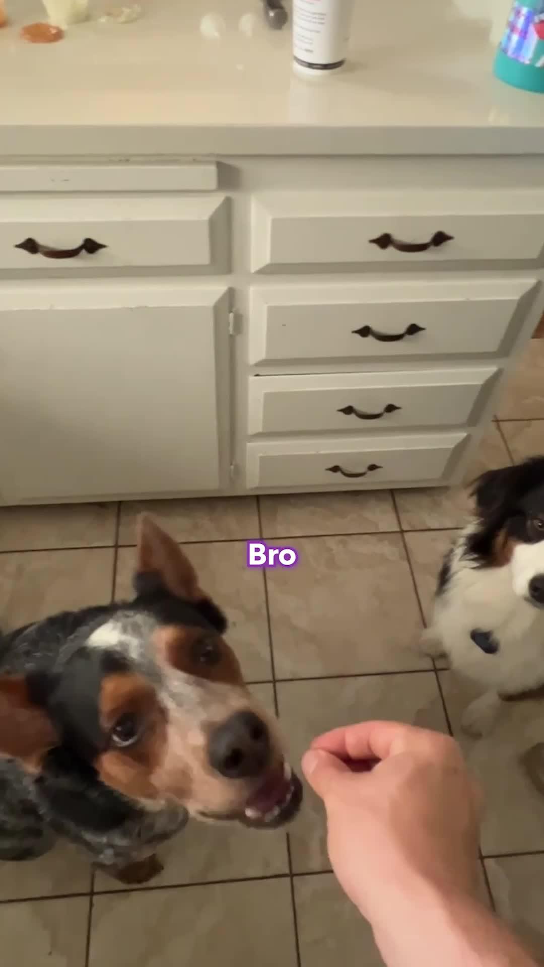 Take control of your $$$