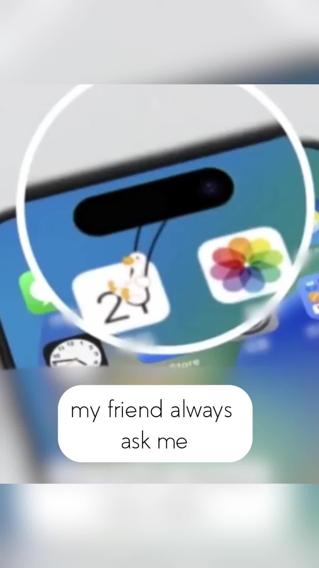 Did the widgetable pet trend