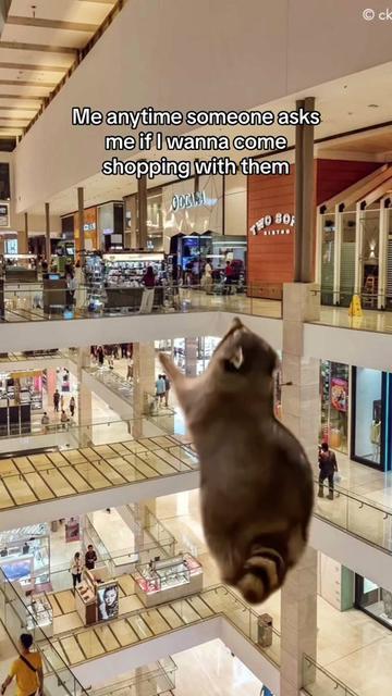 Nothing would bring me more happiness  #Meme #MemeCut #shoppingfun #shoppinghaul #supersales #shoppingtiktok #shoppinglovers