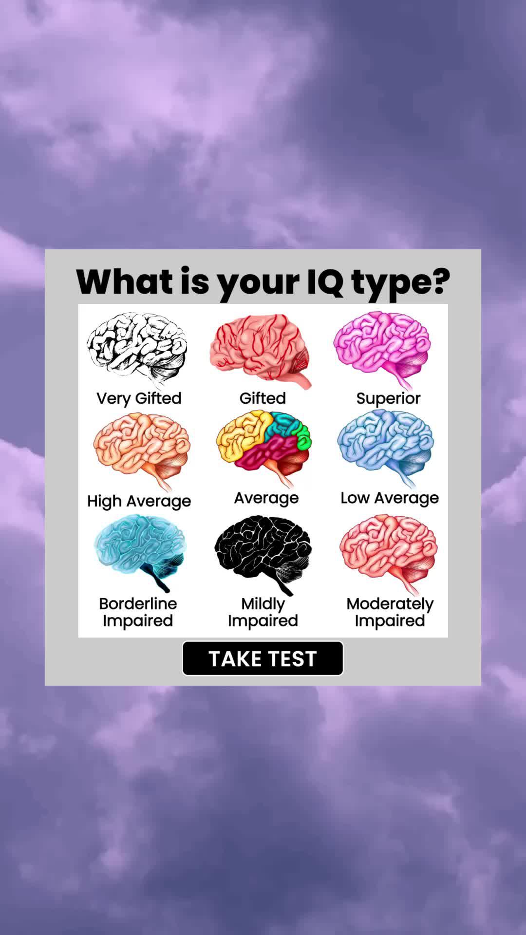 What's your IQ (TEST)?