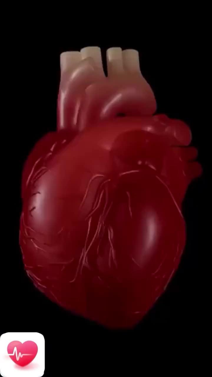 Just 30 seconds to get a health check! Try it now!