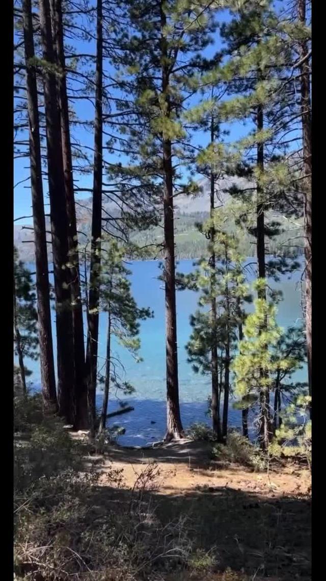 Earn up to 4x Rewards points by booking your stay on the Expedia App. 