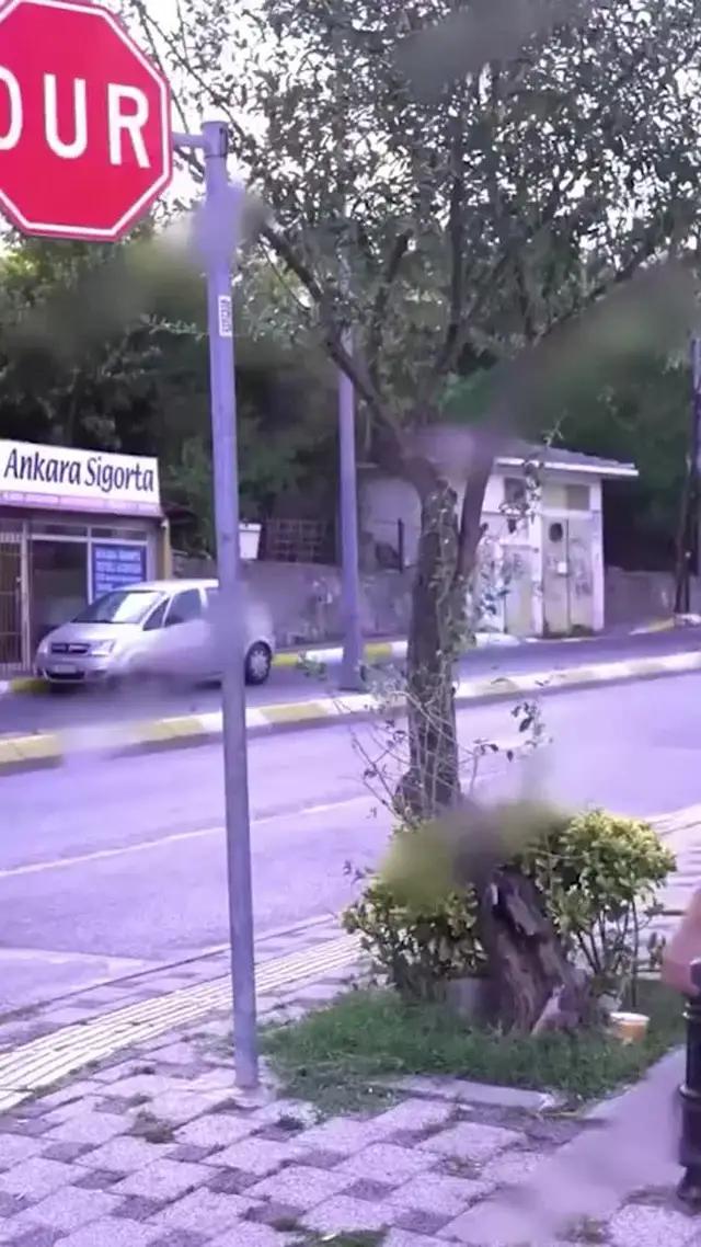 تساعدك على الترجمة بسرعة