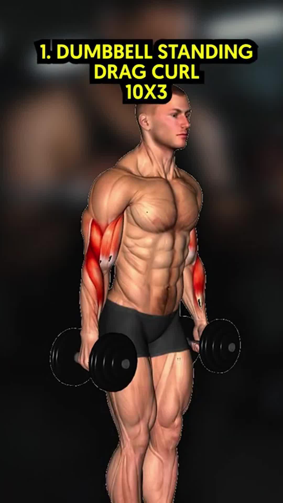 Easy Muscle is a workout application designed for fitness enthusiasts.