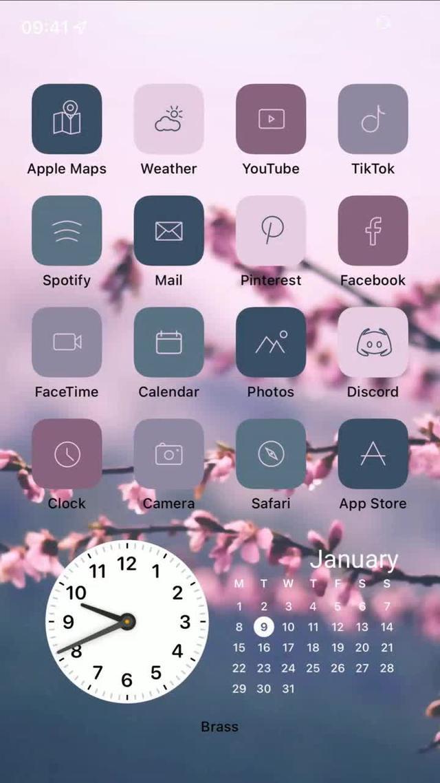 Hundreds of Aesthetic Home Screen Ideas!