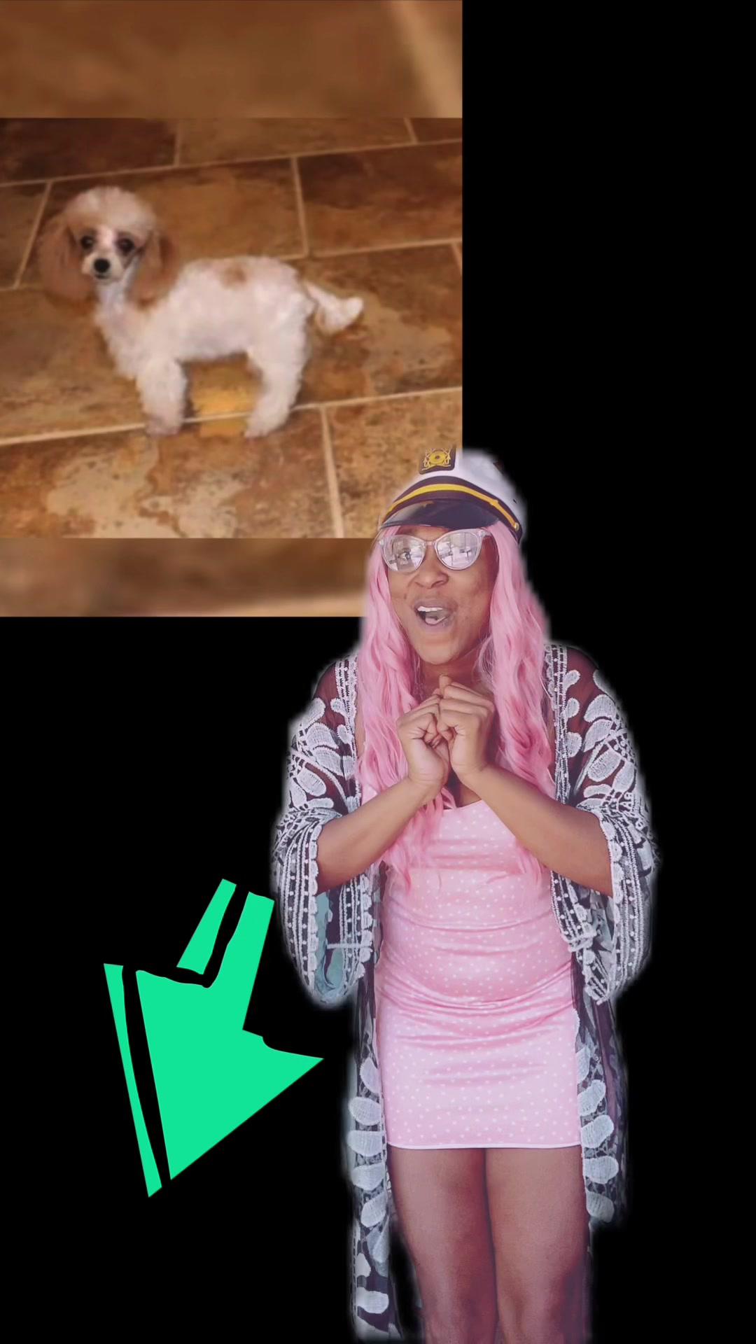 #greenscreenvideo Why no one told me about TEMU? These prices are AWESOME! Celebrating the 1 Year Anniversary, new users get $100 Bundle Coupon! Use this code: dky4298 or click the bio link #temu #pets #dogsoftiktok #shopping