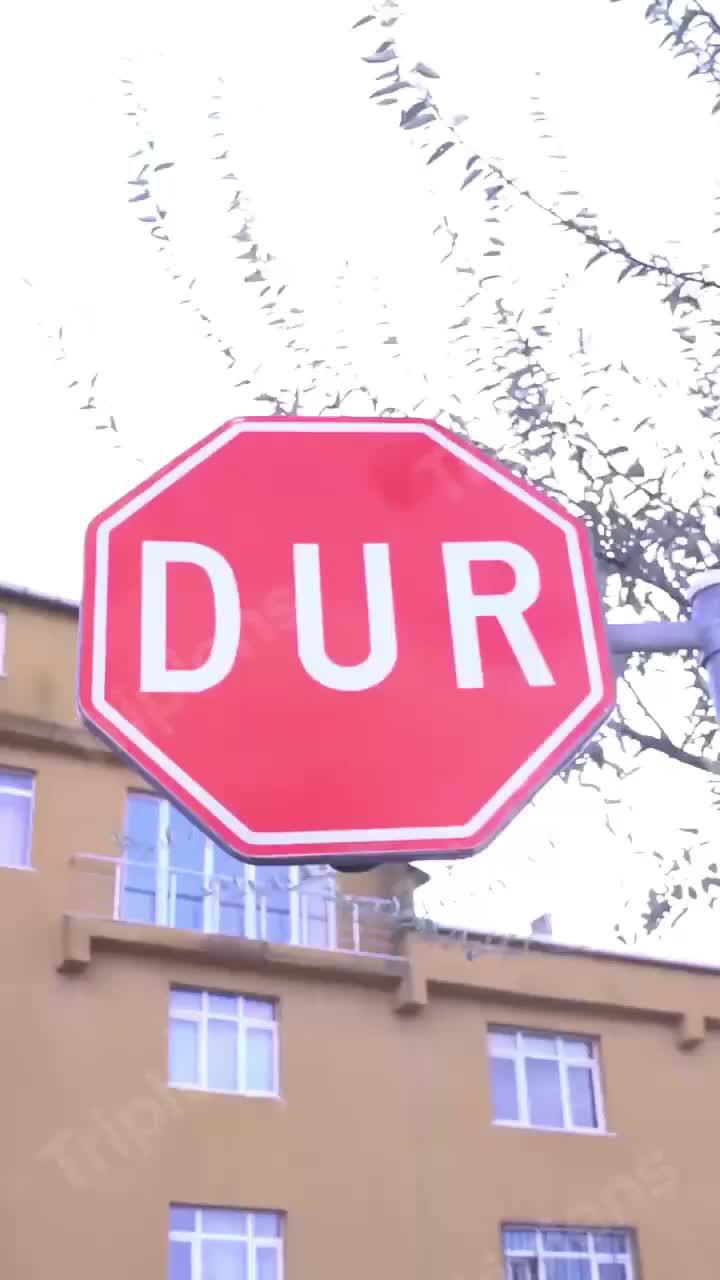 ترجمة الصور والنصوص والصوت مجانًا!