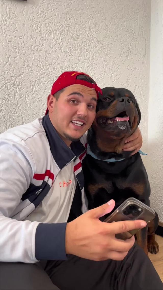 300+ Tricks, Spiele, Rezepte & Kurse