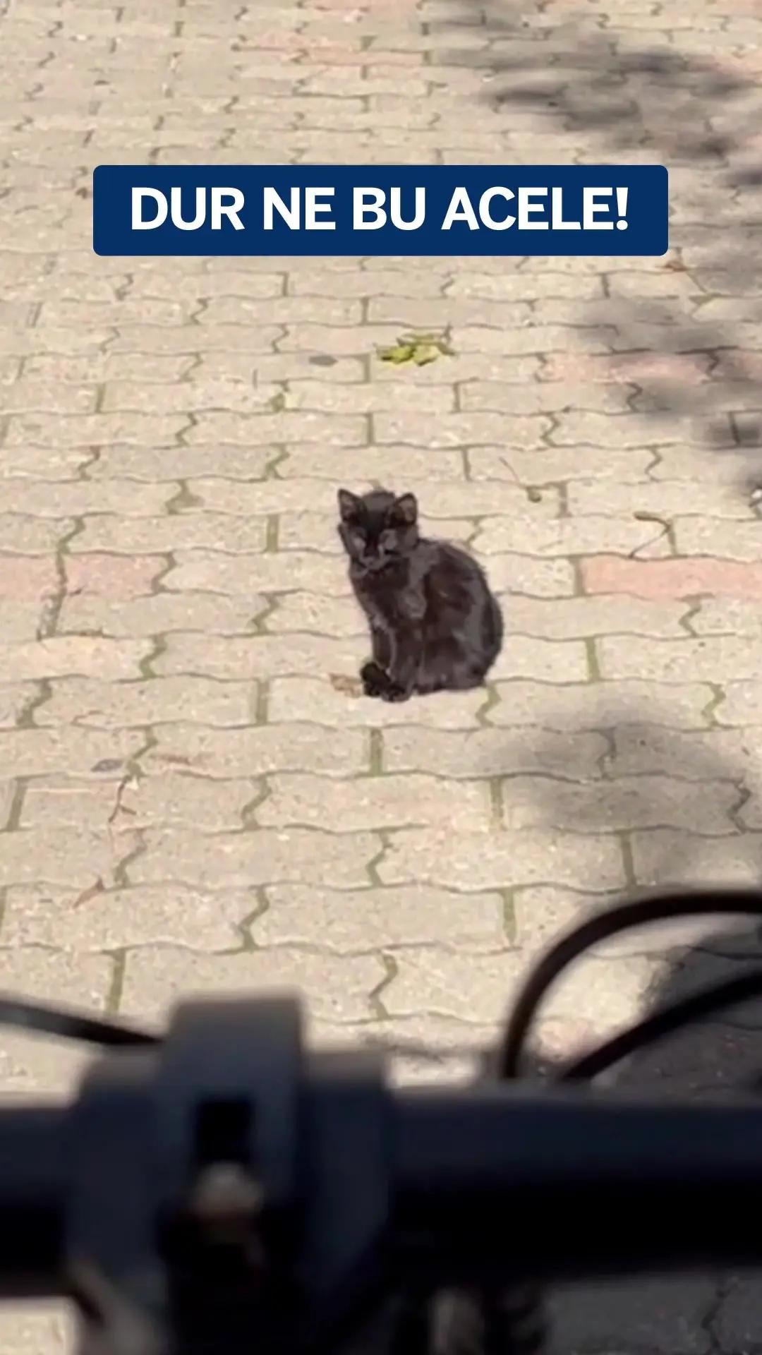 25.000 TL’ye varan %0 faiz fırsatıyla indirim günlerinde ihtiyaçlarınızı rahatça karşılayın. Siz de şimdi Garanti BBVA Mobil’i indirin, müşterimiz olun.