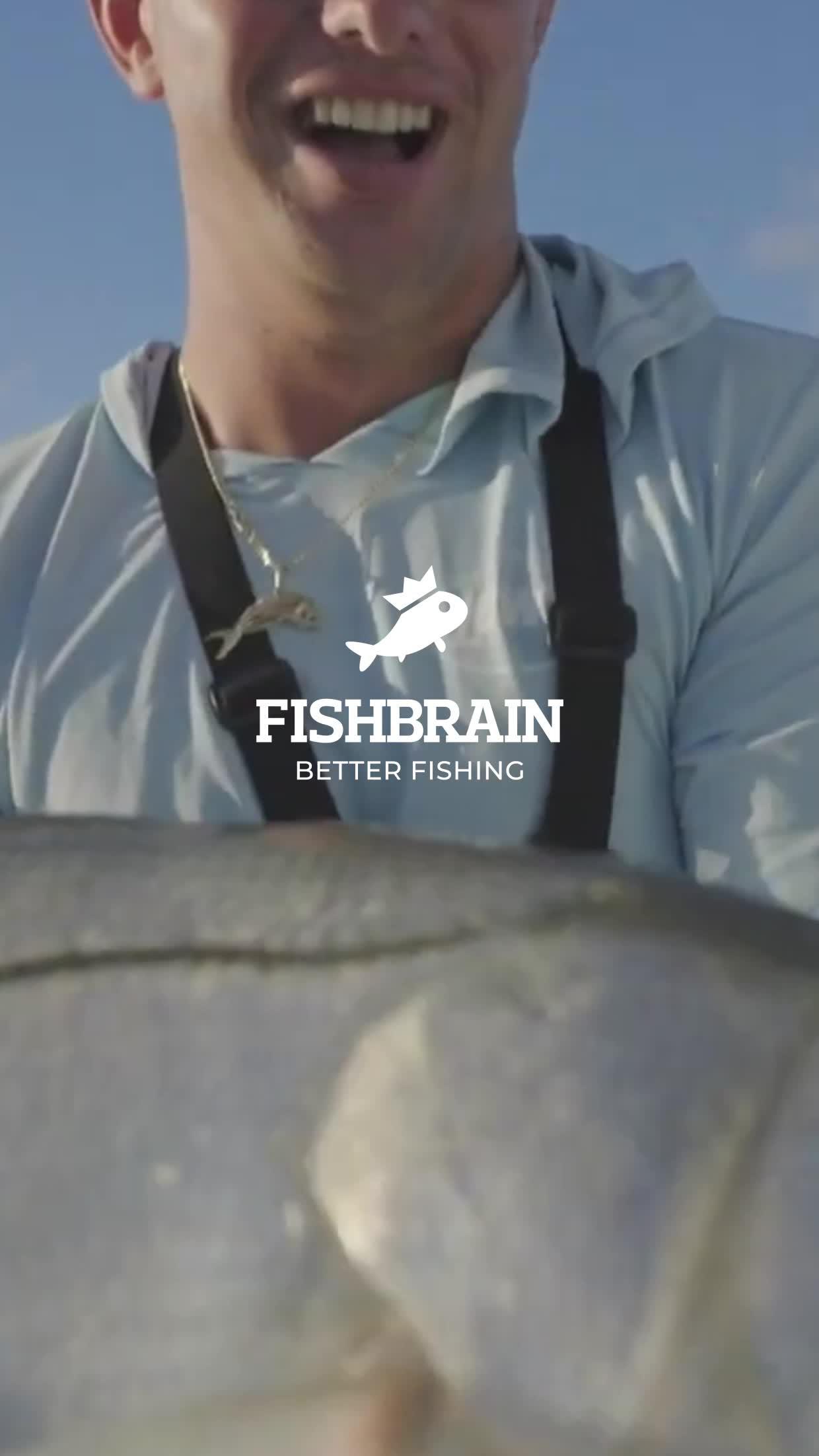 Navionics HD maps helps you locate fishing spots.