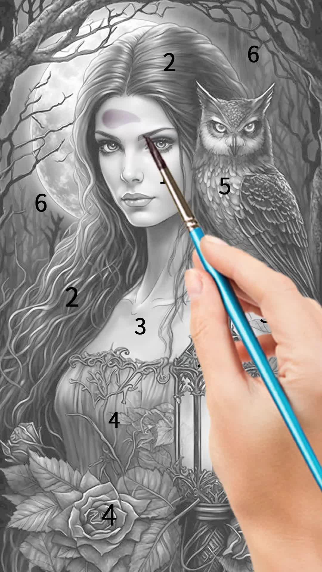 All pictures are free!