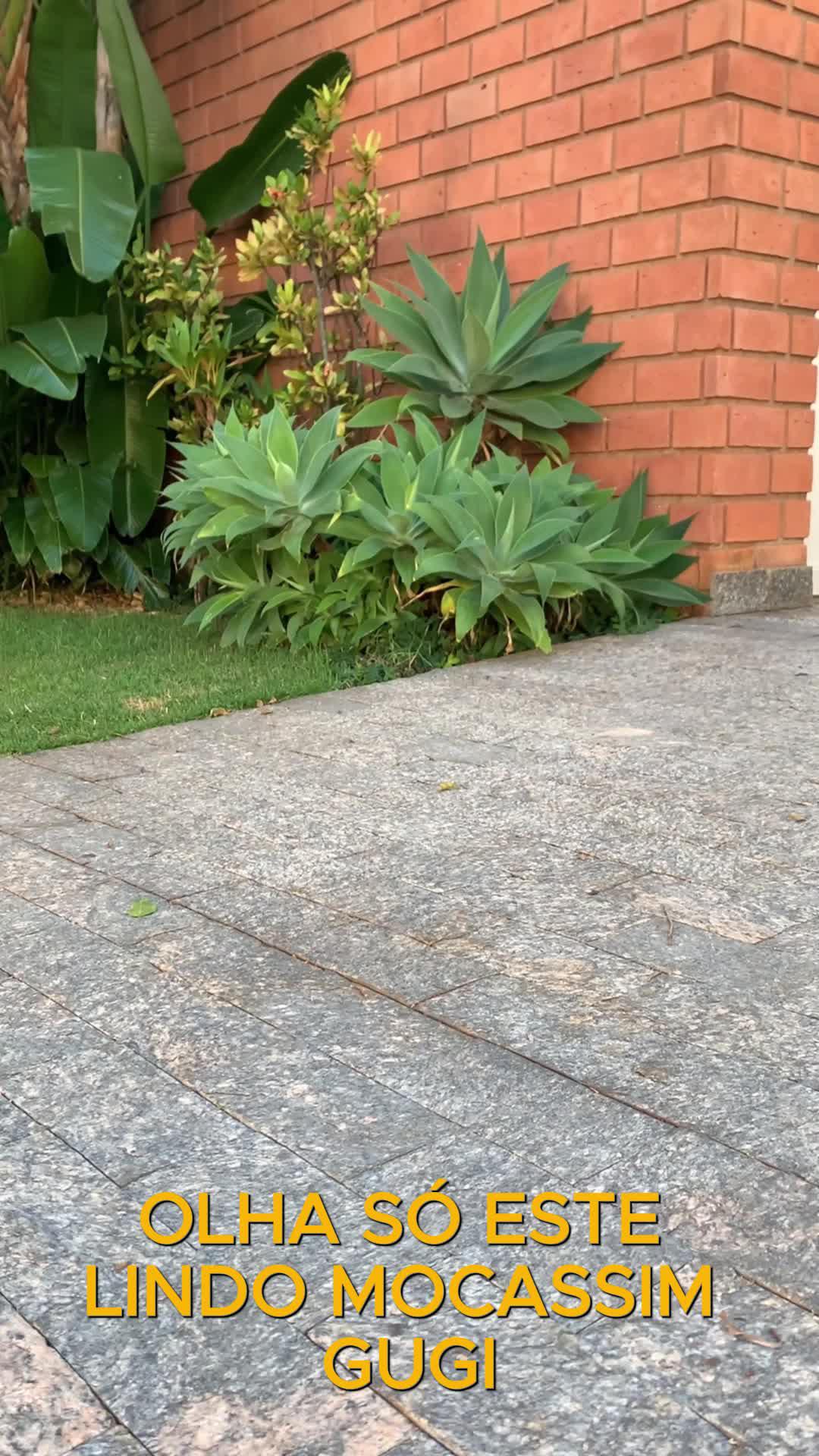 Aproveite As Melhores Ofertas do Mercado Livre com Envio Super Rápido! Baixe o App e Confira!