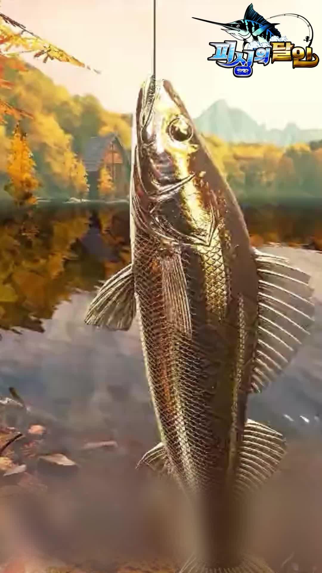 신개념 낚시 게임의 등장