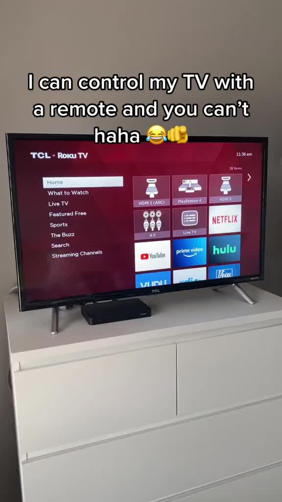 숨바꼭질의 대가 로키 리모트(Rokie Remote)