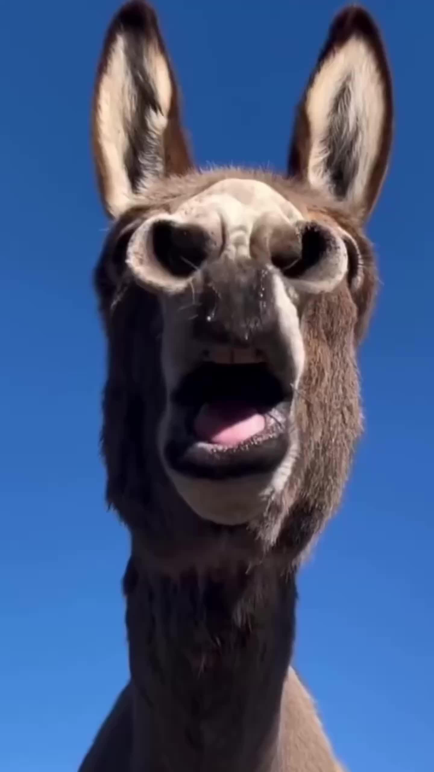 Transform yourself with the power of AI!