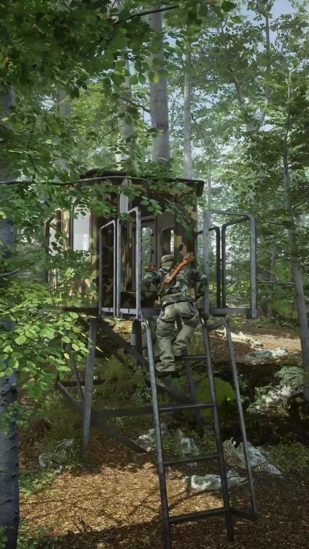 Free gift code:deerhunter