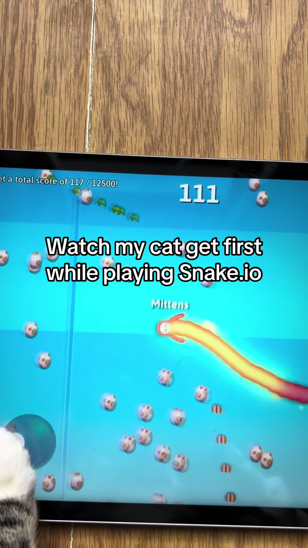 I bet you can’t beat my score! #FallguysXSnakeIO #SnakeIo #SnakeIOChallenge #game