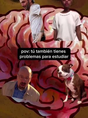 pov: tú también tienes problemas para estudiar #tipsdeestudio #bachiller #bachillerato #evau #metododeestudio #examenes #technicadeestudio #examenesfinales 