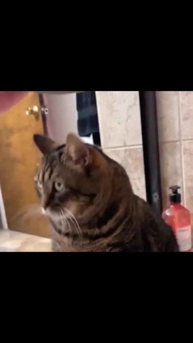 一玩就是通宵，完全停不下來！