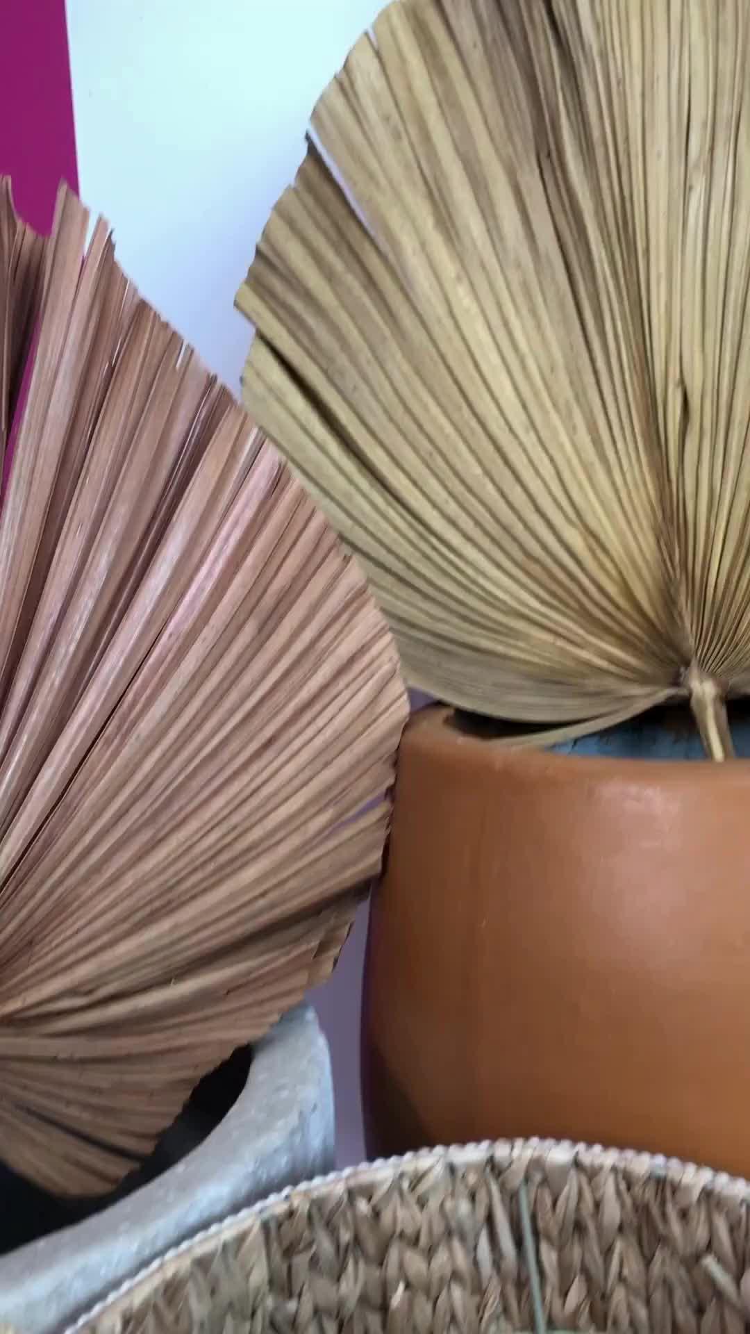 Aproveite As Melhores Ofertas do Mercado Livre com Envio Super Rápido! Baixe o App e Confira!