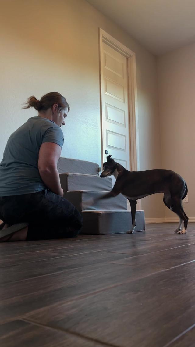 Have you tried @woofz_app ? Swipe left and get 76% off 🤩🐕 Link in bio #iggy #italiangreyhounds #dogmomlife #clickertraining