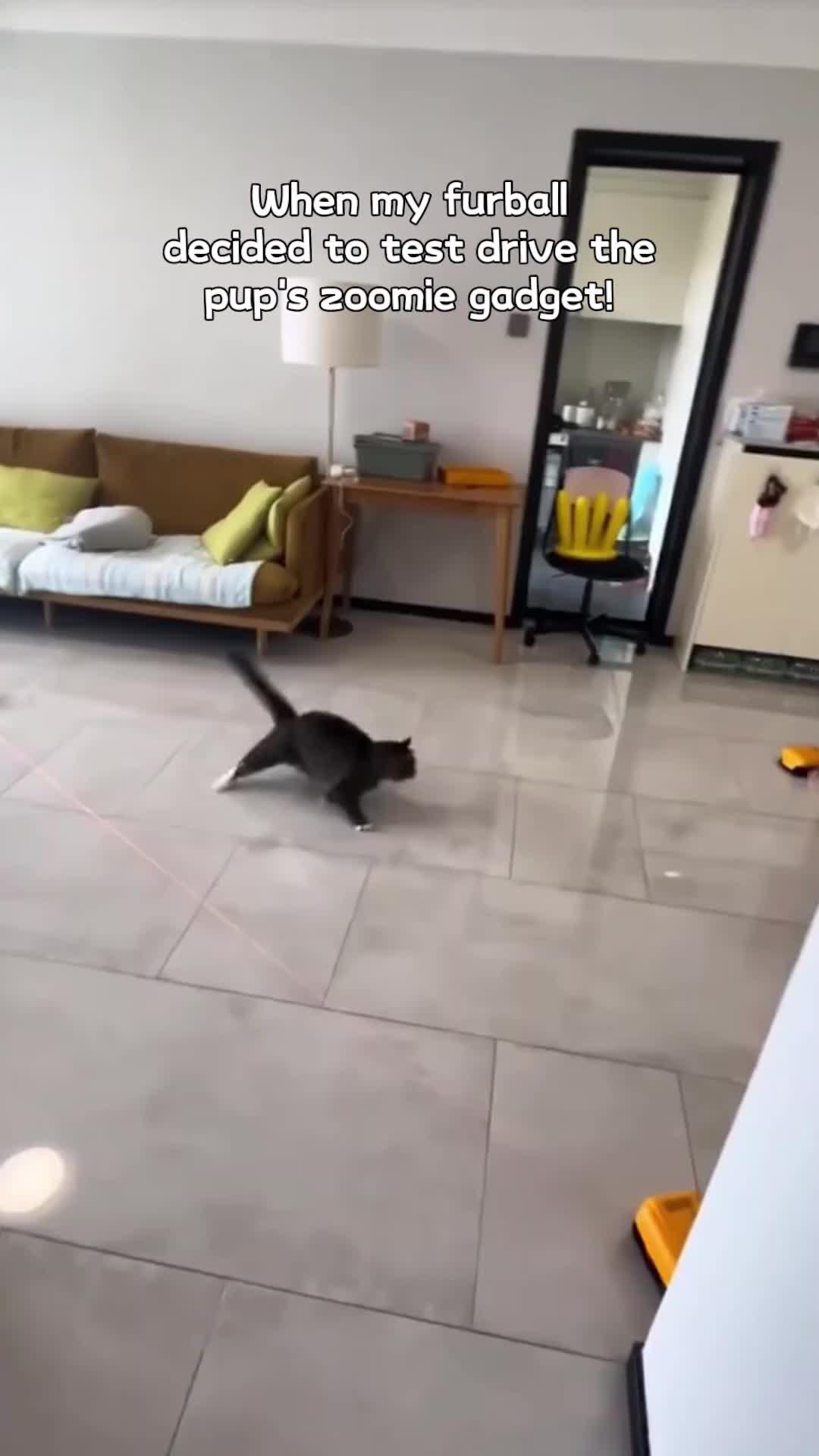 Pawsitively purrfect gift for our furry friends! 🐾 Because every wag and purr deserves to be celebrated. 🎁💕 #FurryLove #PetGifts #CherishedMoments #PetsOverEverything