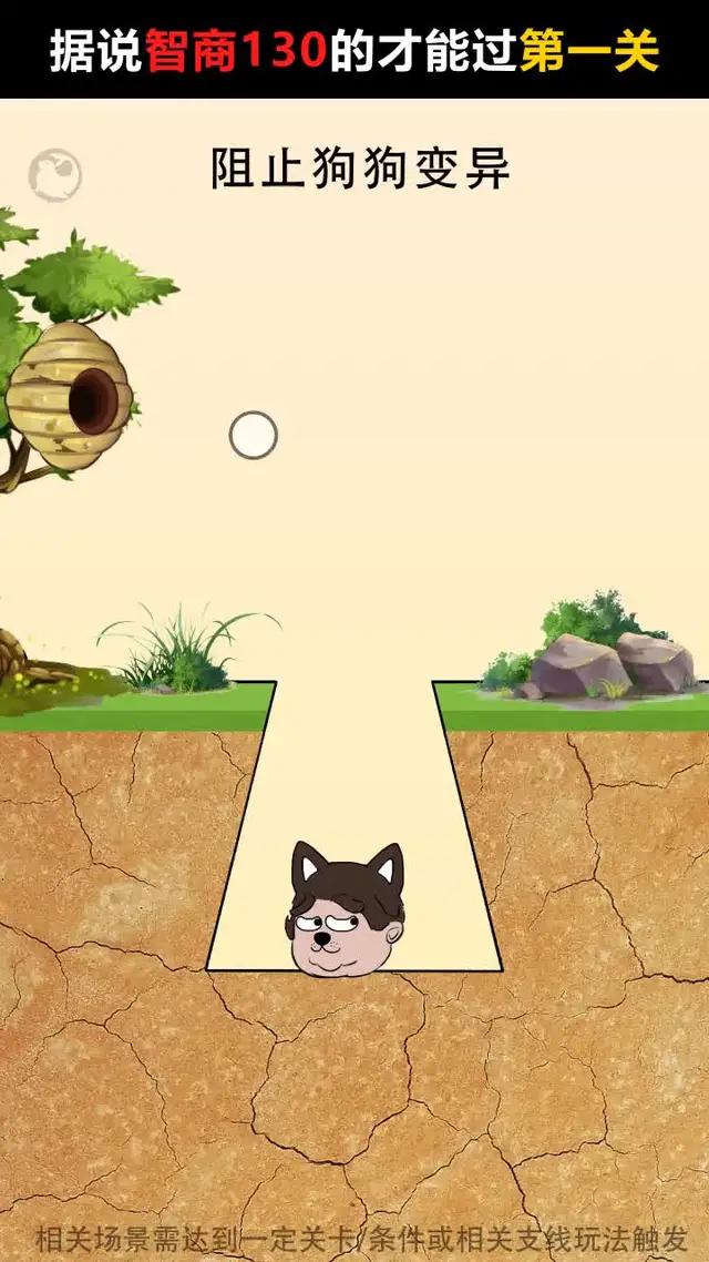 回到古代，做點買賣