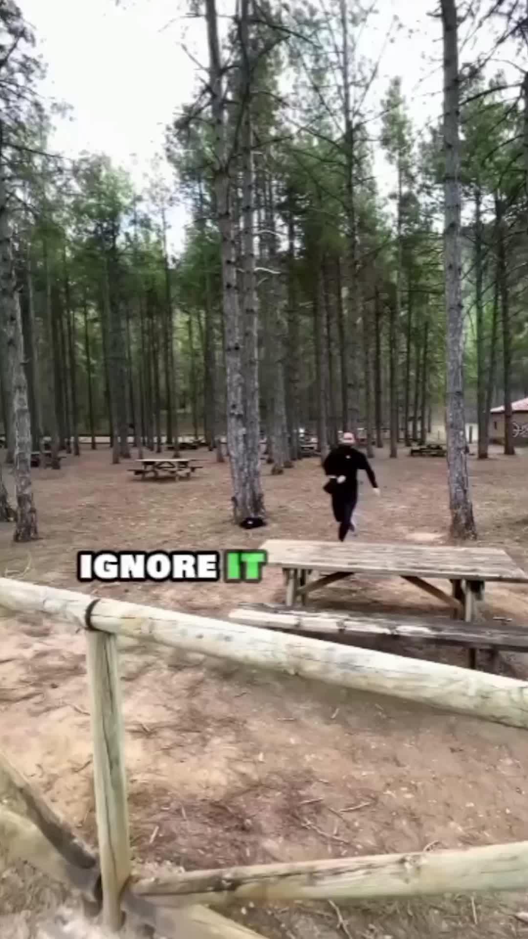 Start Studying The Bible Today! JOHN 1:1 In the beginning was the Word and the Word was with God and the Word was God!