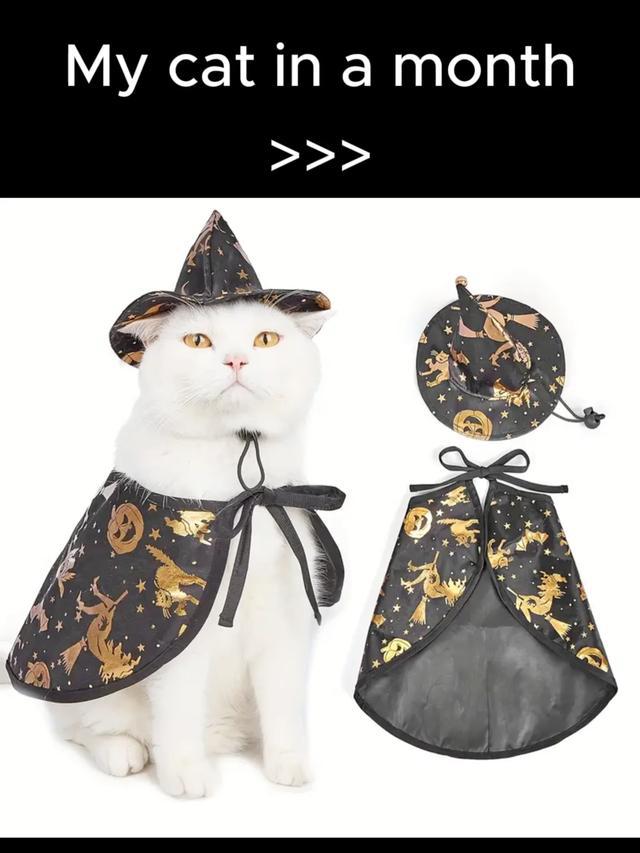 Big save! Search code [dmn7856] in #temu to win a €100 coupon bundle and enjoy huge discounts #halloween #homedecor #temufinds #halloweengift #spooky #budgettip #fyp