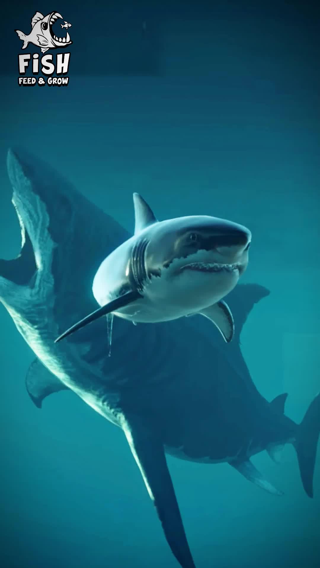 From tiny fish to ocean giants! Play 3D Fish Feeding  and see how big you can grow!