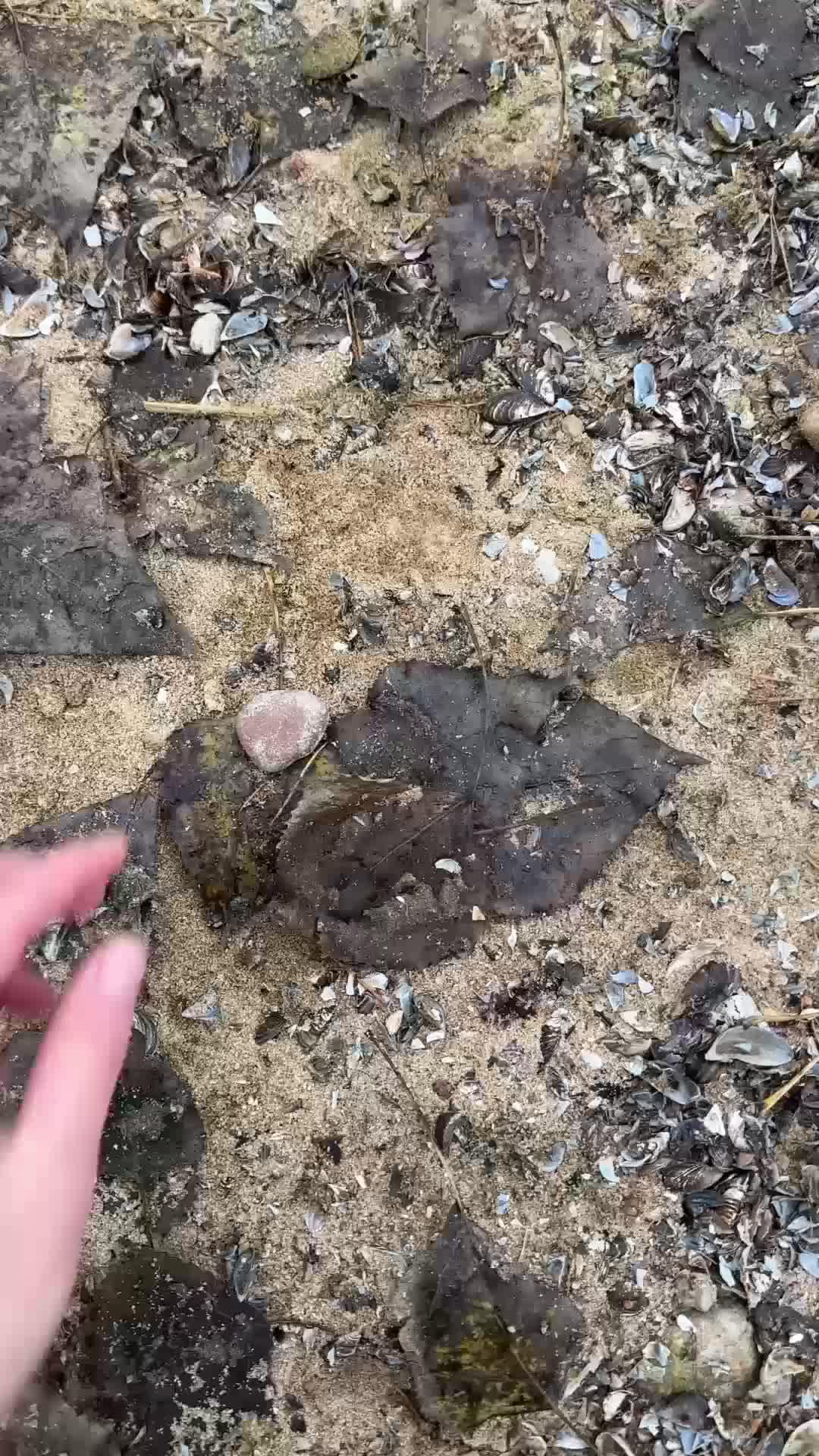 Just take a picture of a mineral or gemstone