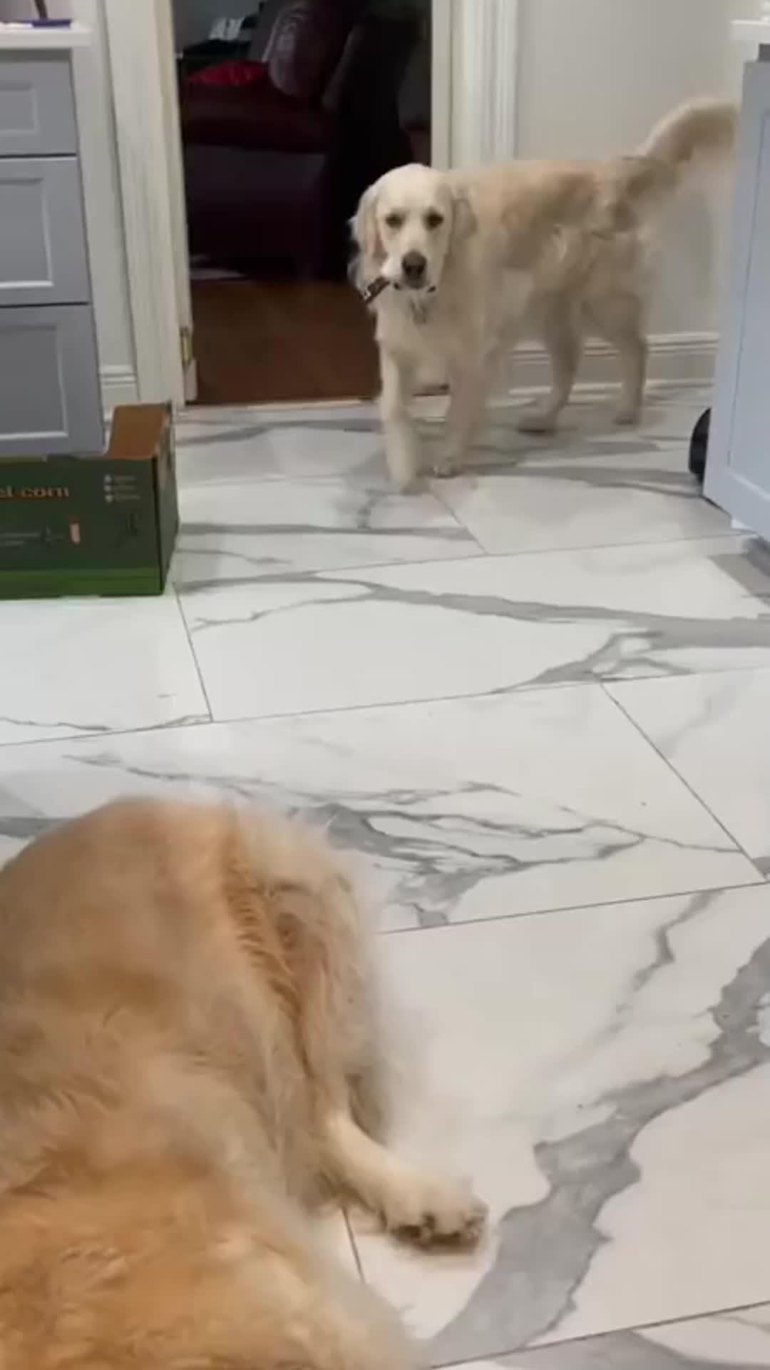 Remote Roku TV By iPhone. The solution when your home remote is broken or the battery runs out