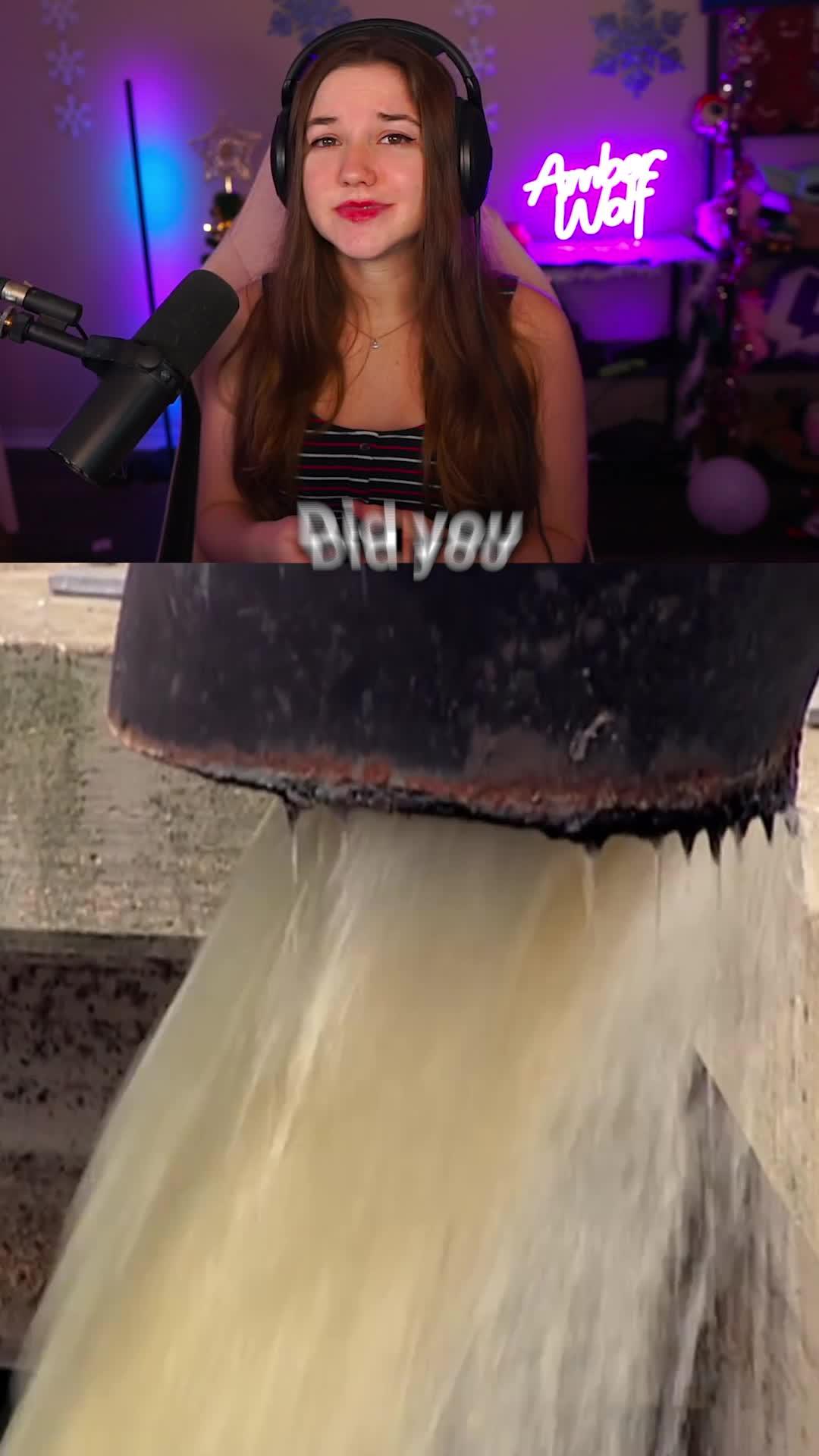 Kick out those weird tenants! Come see reasons!