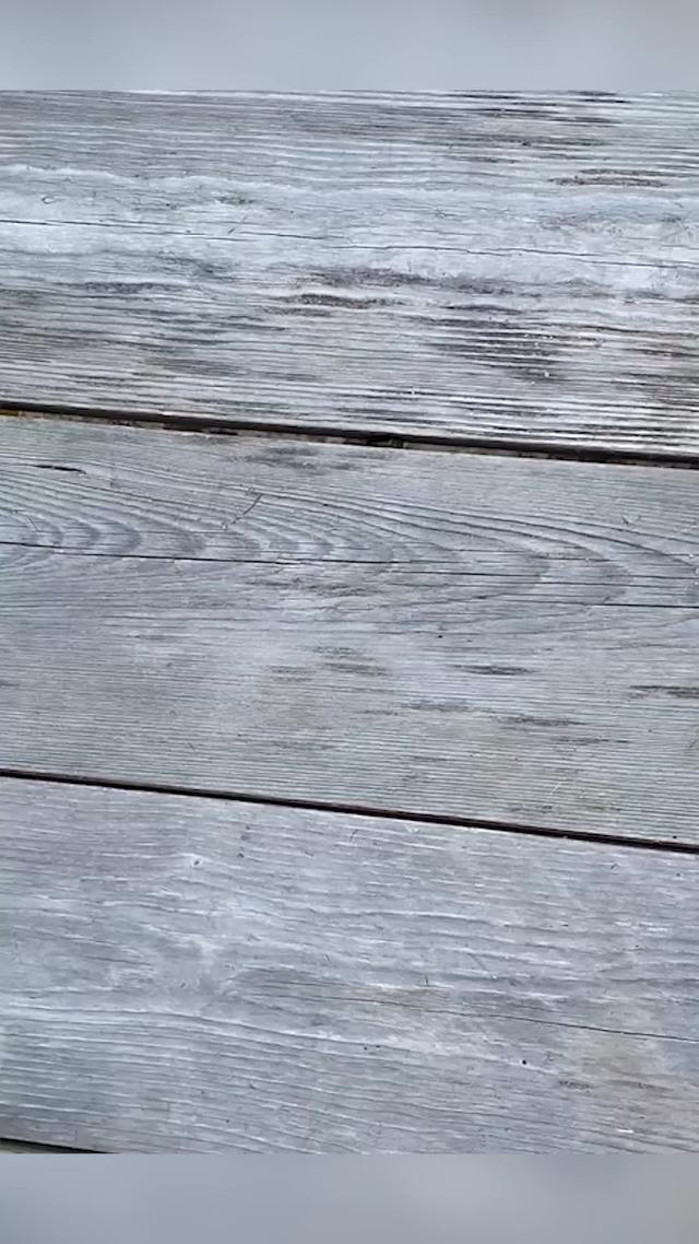 The Game Everyone's Playing! Join Now!