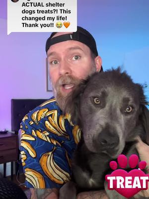 Play & send REAL goodies, and know once your dogs find a home! Treats are free!