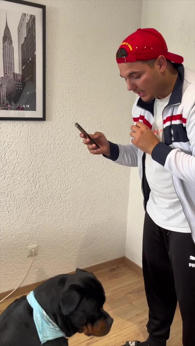 Hundetraining mit Spiel und Spaß