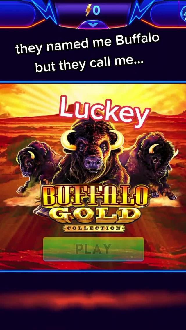 Collect 10,000,000 FREE Coins!