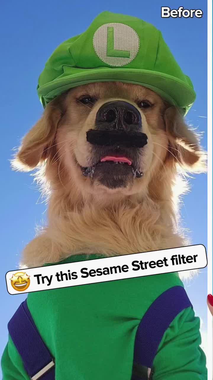 Want to know what your pet anime looks like? Try AI photo enhancer