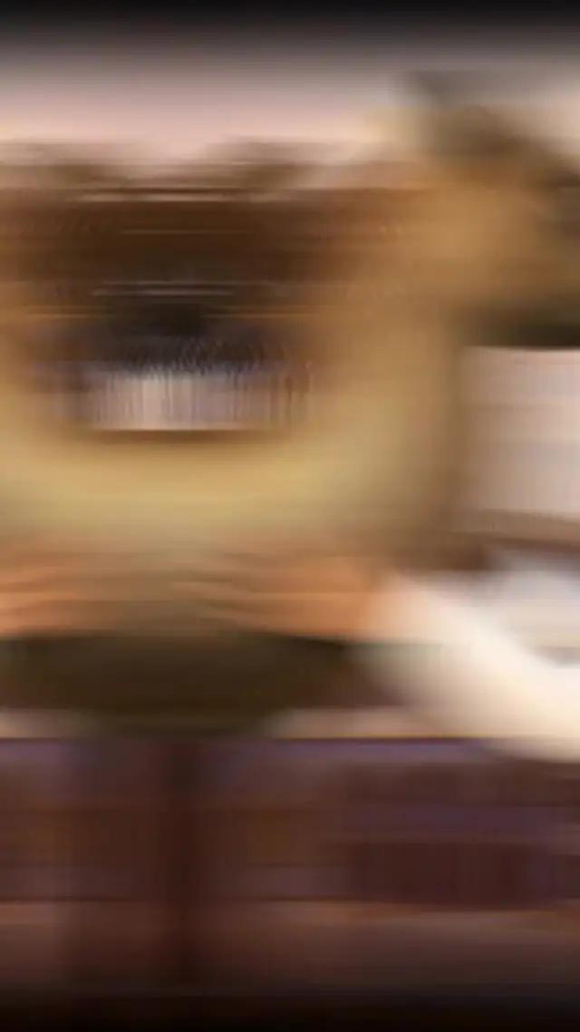 المزيد من المحتوى الترفيهي ينتظرك على بيجو لايف