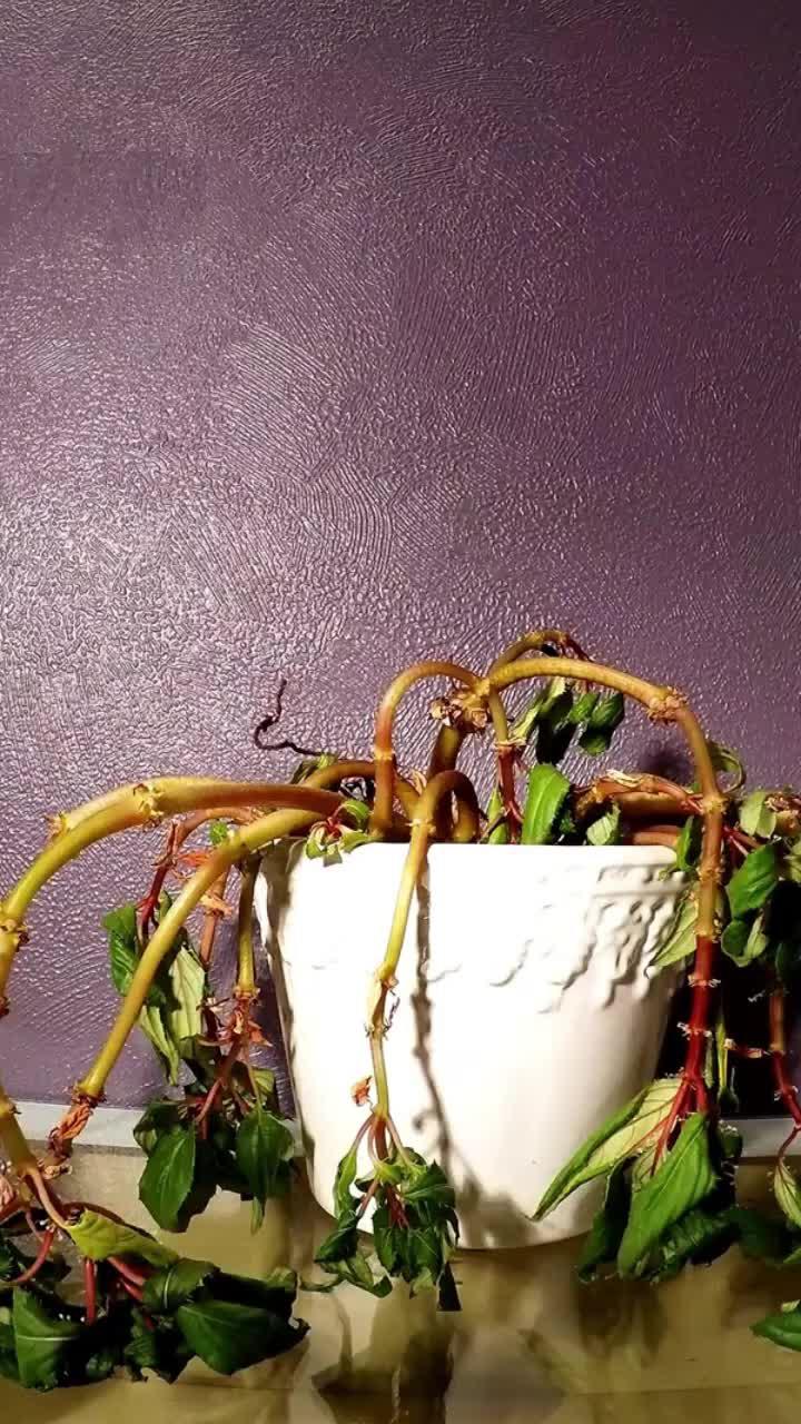 Free time part-time income