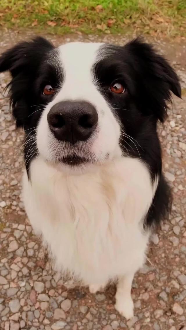 Stay in the loop with all the local news you need, all in one place!